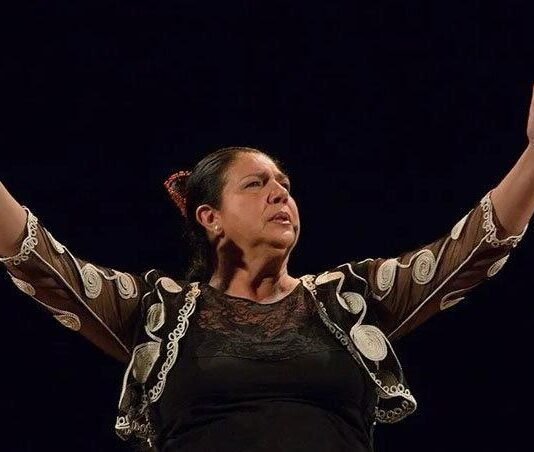 Alcalá acoge un festival flamenco para ayudar a niños con discapacidad en la India