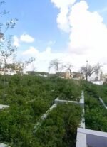 Dos años paralizadas las obras del Aguila, ahora anuncian que se retoman