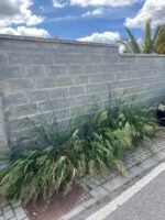 Vecinos de La Pirotecnia denuncian la dejadez del barrio Vecinos de La Pirotecnia denuncian la dejadez del barrio