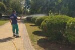 Alcalá en riesgo alto por el Virus del mosquito del Nilo