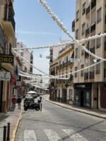 El Ayuntamiento ordena la retirada de las guirnaldas que decoran el centro