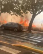 El incendio frente al Forus ha sido intencionado y ya está bajo control