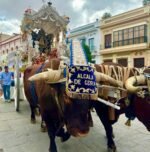 Recorrido de ida y vuelta de la Hermandad del Rocío de Alcalá. Incluye vídeos de la salida