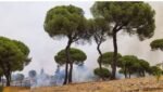 Incendio en El Calvario, en Alcalá de Guadaíra