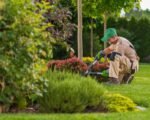 Oferta de empleo para jardinero en Alcalá de Guadaíra