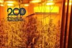 Acuden a socorrer a una mujer por violencia de género y descubren una plantación de Marihuana