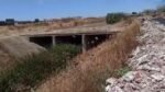 Aparece un cadáver calcinado entre Alcalá y el barrio de Palmete