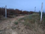 La Junta recuperará la vía pecuaria Zacatin tras la denuncia de los ecologistas