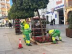 Más de 3000 flores adornarán las calles de Alcalá esta Navidad