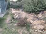 Ecologistas reclaman a la Junta actuaciones urgentes en la finca La Piñera