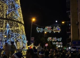 Una Navidad para todos, también para nuestras mascotas