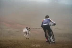 La Copa de España de Mushing sitúa a Alcalá en el mapa deportivo nacional