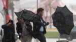 Alcalá entra en Alerta Naranja este miércoles por fuertes rachas de viento y lluvias