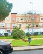 La borrasca Joseph provoca numerosas incidencias en Alcalá