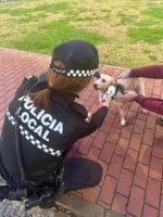 La Policía Local reforzará el control sobre la tenencia de mascotas