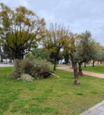 Cae un cartel de la A-92 sobre un coche, ha habido dos atropellos y árboles caídos por el temporal