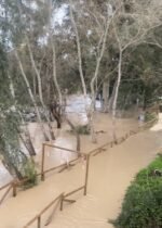 Fin de semana revuelto: la borrasca Marta llega con fuerza a Alcalá de Guadaíra