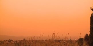 La calima regresa a Alcalá con cielos turbios