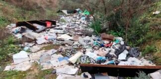 El Consejo Económico y Social pide una respuesta firme ante los vertidos de basura en el extraradio