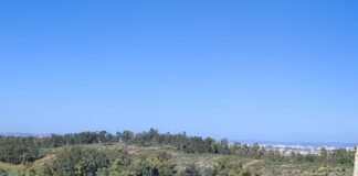 Izquierda Alcalareña pide actuaciones de mejora en el Puente del Dragón