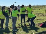 El centro Girasol y el Íes Alguadaira realizan una plantación en Oromana