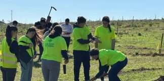 El centro Girasol y el Íes Alguadaira realizan una plantación en Oromana