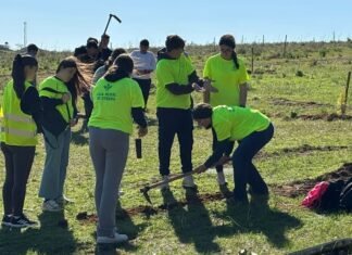 El centro Girasol y el Íes Alguadaira realizan una plantación en Oromana