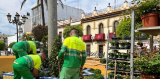 Alcalá se embellece con 4.000 plantas para recibir la Semana Santa