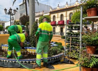 Alcalá se embellece con 4.000 plantas para recibir la Semana Santa