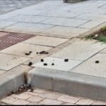 Malestar vecinal por las cacas de perro en el nuevo parking de Pablo VI