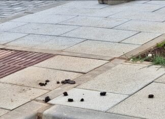 Malestar vecinal por las cacas de perro en el nuevo parking de Pablo VI