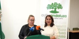 Alcalá volverá a saborear sus mejores pestiños con el Concurso ‘Joaquín Bono Hartillo’