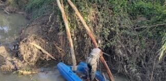 La limpieza de las orillas del Guadaíra, una actuación que llega tras nuestro vídeo-denuncia