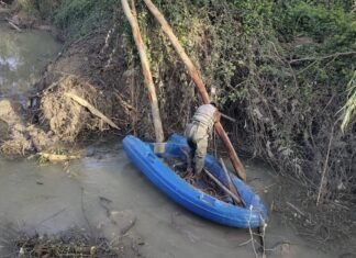 La limpieza de las orillas del Guadaíra, una actuación que llega tras nuestro vídeo-denuncia