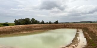 Acusan a la Junta de autorizar a ciegas una gran balsa que afecta al río Guadaíra