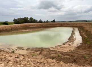 Acusan a la Junta de autorizar a ciegas una gran balsa que afecta al río Guadaíra