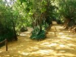 Esta semana alcanzaremos los 31 grados en Alcalá