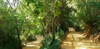 Esta semana alcanzaremos los 31 grados en Alcalá