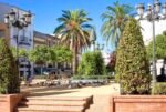 Alcalá combatirá la superpoblación de palomas con piensos anticonceptivos