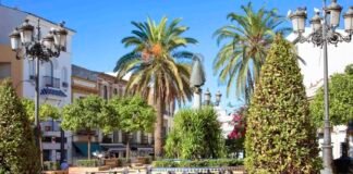 Alcalá combatirá la superpoblación de palomas con piensos anticonceptivos