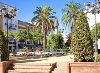 Alcalá combatirá la superpoblación de palomas con piensos anticonceptivos