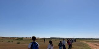 Alumnos del CEIP San Mateo siembran semillas para regenerar zonas verdes en Alcalá