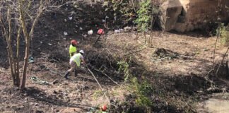 Ecologistas cargan contra la gestión de Medioambiente con el río Guadaíra