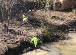 Ecologistas cargan contra la gestión de Medioambiente con el río Guadaíra
