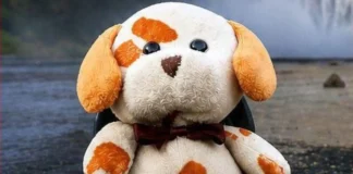 Buscan el peluche de su hijo fallecido: “es un pedacito de él”
