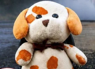 Buscan el peluche de su hijo fallecido: “es un pedacito de él”