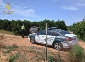 Detenido tras una peligrosa persecución en Alcalá, llevaba 32 kilos de marihuana