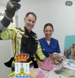 Final feliz para un zorrito atrapado en una finca de Alcalá