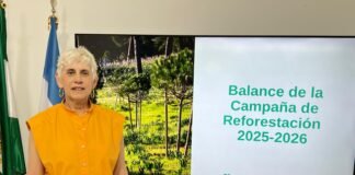 La reforestación avanza en Alcalá con más de 4200 árboles sembrados en dos años