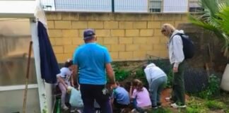 El CEIP San Mateo premiado por su compromiso con el Medio Ambiente